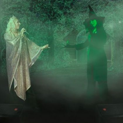 The Musicals Stage Show